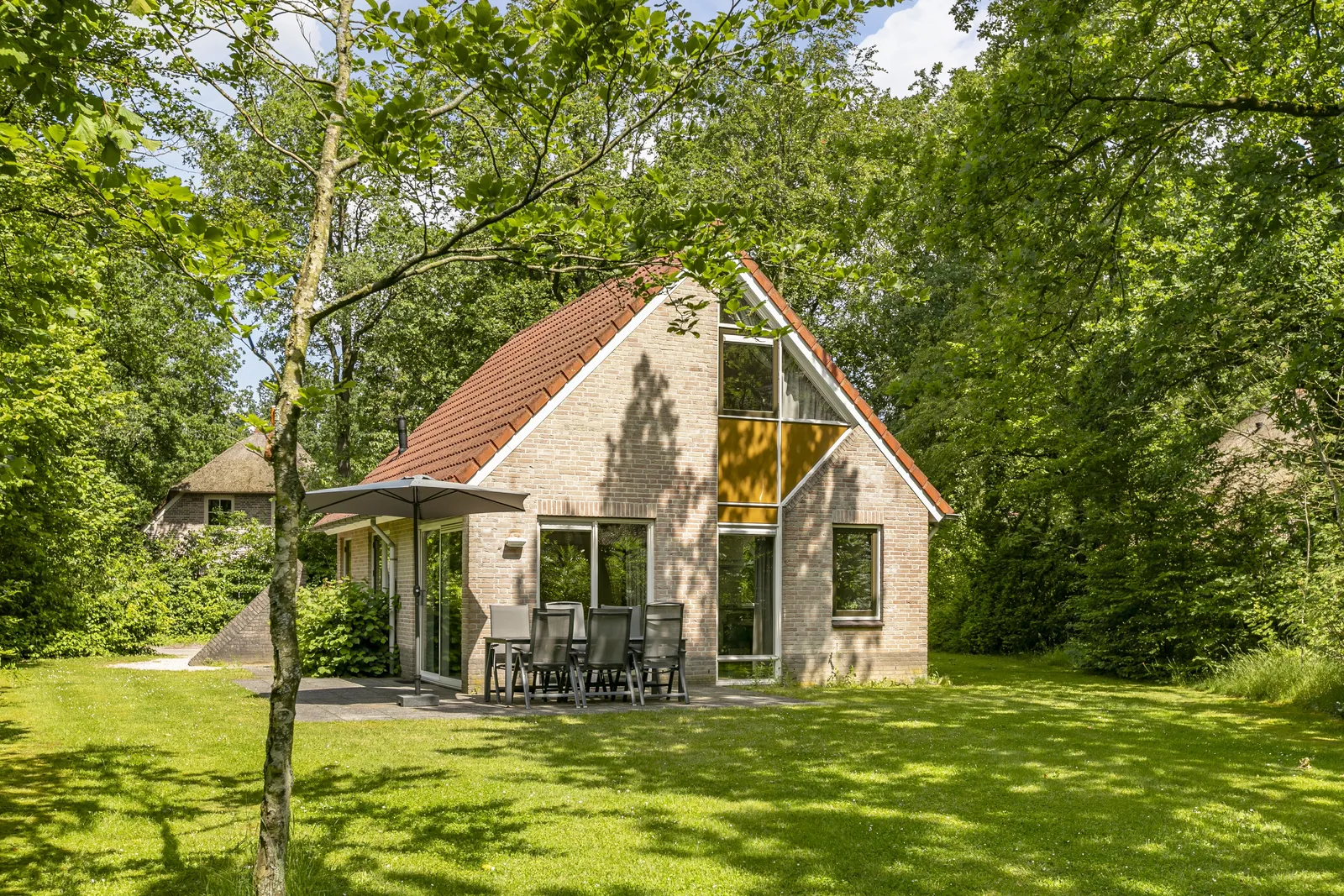 Wandelpad tussen hoge bomen op een bosrijk vakantiepark