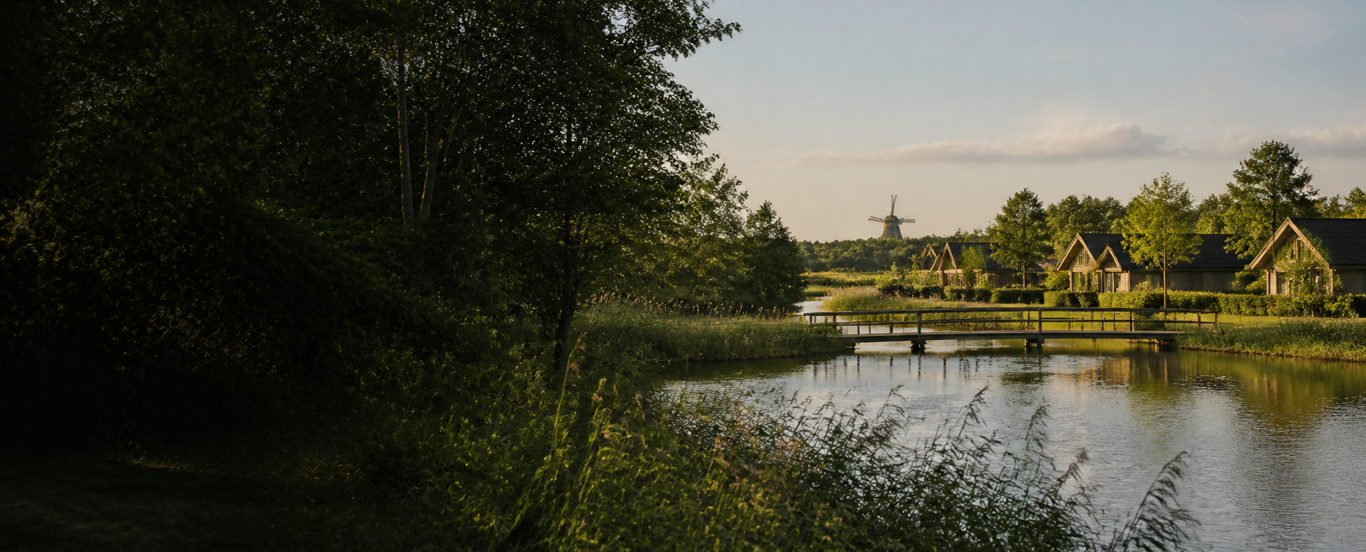 Bosrijk Nederlands landschap met heide en dennen